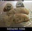 Pane alle olive