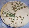 Maiale tonnato (PAP)