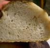 Pane integrale con lievito naturale di piergiorgio giorilli