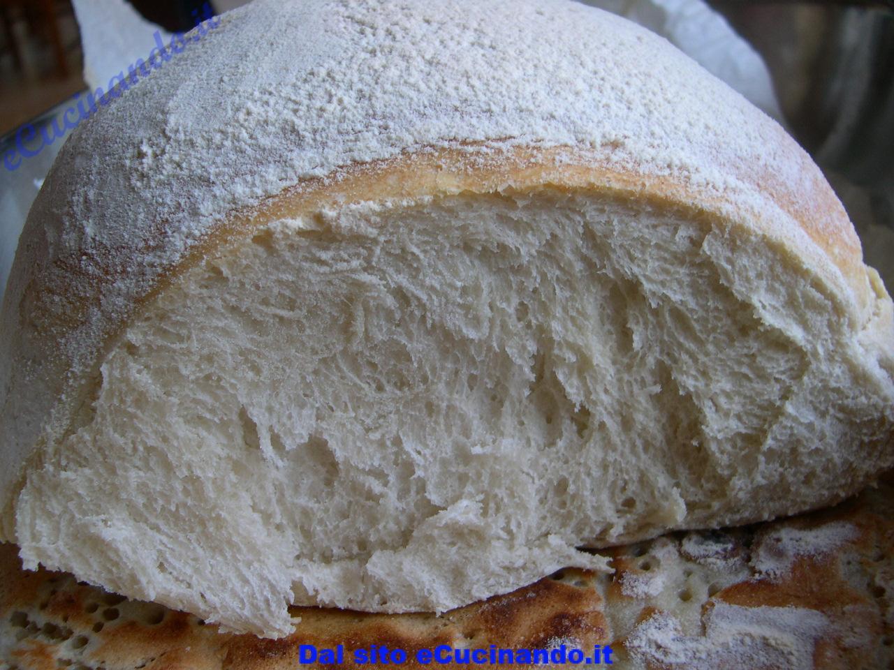 Clicca per vedere la foto ingrandita Pane-cafone